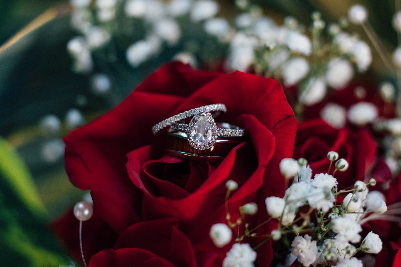 A close-up of a white gold diamond halo pear-shaped engagement ring and diamond wedding band on a red rose