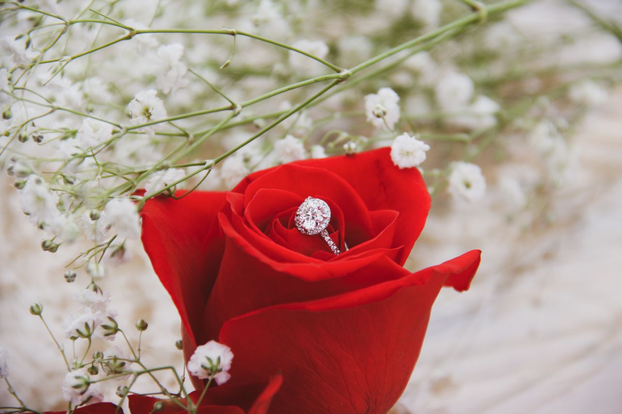 An elegant side stone engagement ring displayed in a beautiful red rose. An elegant side stone engagement ring displayed in a beautiful red rose.